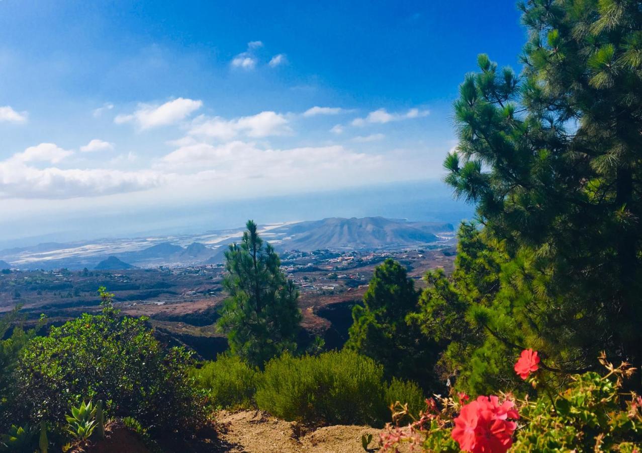 Tenerife Nature Retreat Ifonche المظهر الخارجي الصورة