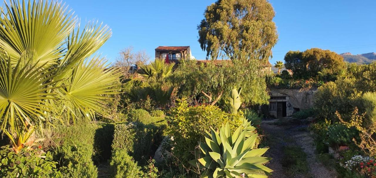 Tenerife Nature Retreat Ifonche المظهر الخارجي الصورة