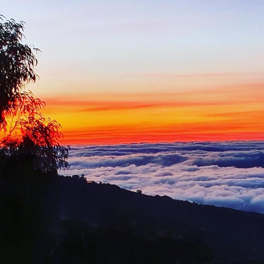 Tenerife Nature Retreat Ifonche المظهر الخارجي الصورة