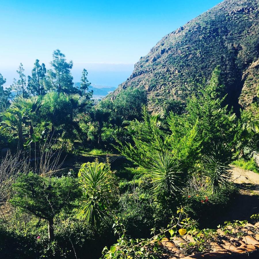 Tenerife Nature Retreat Ifonche المظهر الخارجي الصورة