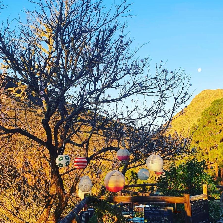 Tenerife Nature Retreat Ifonche المظهر الخارجي الصورة