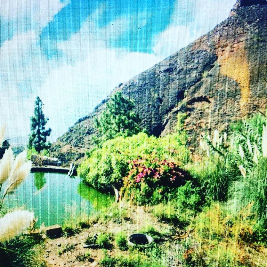 Tenerife Nature Retreat Ifonche المظهر الخارجي الصورة
